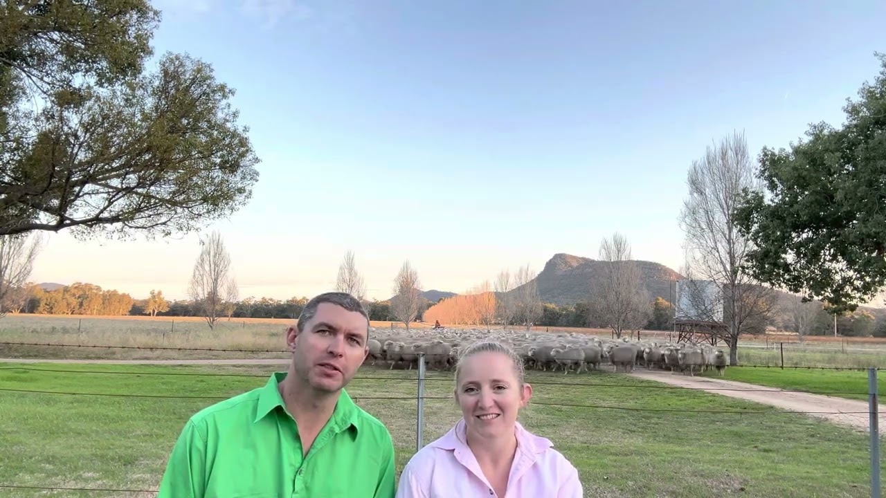 School Holidays at Avalon Farmstay