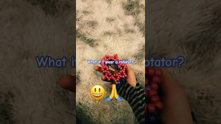 😔🙏 #funny #kandi #kandikid #2020 #beads #shorts #viral #lol #shortsfeed #scene #trending #fypシ