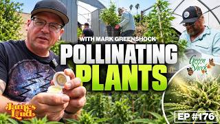 Pollinating with Mark from Greenshock Farms | Ep #176