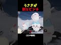 まさに崖っぷち #ちいかわ #中国