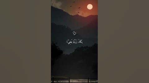 القارئ ماهر المعيقلي اكتب شيء تؤجر عليه ❤😴