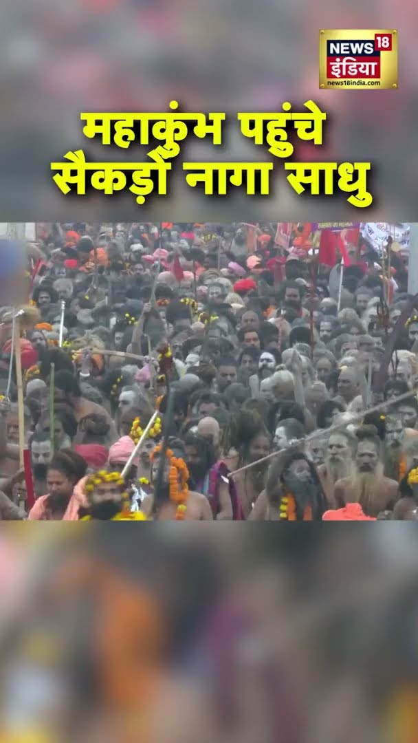 Maha Kumbh 2025 में नागा साधुओं का जमावड़ा | #Shorts | N18S