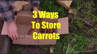 A Few Ways to Store Carrots (or Parsnips) for the Winter