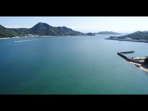 折古の浜でカラスに囲われ急いで逃げる