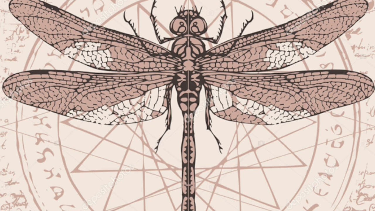 Meditación para desbloquear la Comunicación con tu Llama Gemela