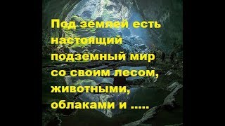 Под землей есть настоящий подземный мир со своим лесом, животными и облаками. Пещера Шондонг.