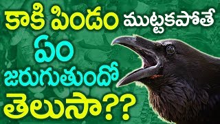 Do you know what happens if the crow does not touch the fetus || Know The Facts About Ritual Process || SumanTv