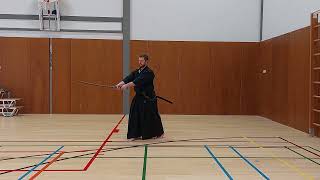 iaido: Performing the znkr seitei iaido 1-12