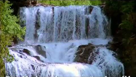 Surat Al-Mumtahinah Saad Alghamdi سورة الممتحنة الشيخ سعد الغامدي