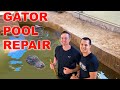 Alligator Pool Repair: Jumping In With 10.5 ft. Gator!
