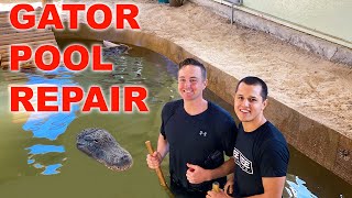 Alligator Pool Repair: Jumping In With 10.5 ft. Gator!