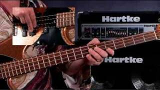 How To Play Bass Guitar - Lessons for Beginners - Chromatic Scales & Accidentals chords