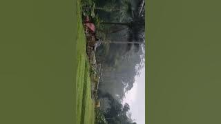 Mentahan Video