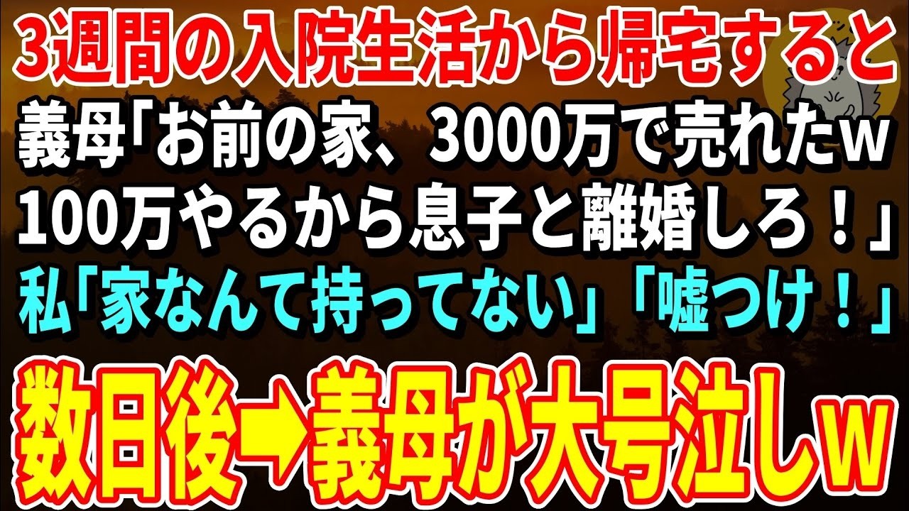 【スカッとする話】3週間の入院生活から帰宅すると義母「お前の家、3000万で売れたｗ100万やるから息子と離婚しろ！」私「家なんて持ってない」「嘘つけ！」→数日後、義母が大号泣しｗ【朗読】【修羅場】