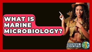 What Is Marine Microbiology? - Ecosystem Essentials