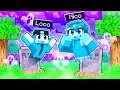 MINECRAFT MA SIAMO DELLE ANIME!