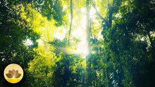 Forest Rain Echoes – Soft Piano Beneath the Trees | 4K