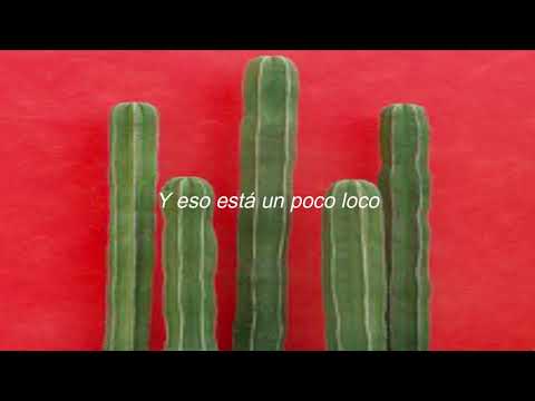 Un Poco Loco - Luis Ángel Gómez Jaramillo, Gael García Bernal (lyrics)