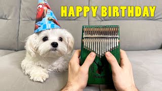 Happy Birthday Song for My Dog ( Kalimba Cover )