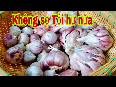 Video: 3 cách để đông lạnh súp lơ