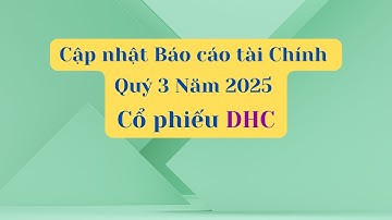 Cập nhật Báo cáo tài chính Quý 3 Năm 2025 của cổ phiếu DHC