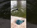 Fishing remote control gadget #shortsvideo