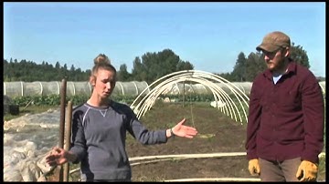 Season Extension in western Washington - Building a High Tunnel Part 1