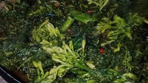 Lá Mì Xào Với Hoa Lá Đu Đủ Đặc Sản Jrai