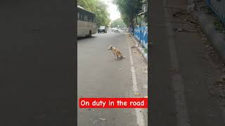 on duty in the road#efficent#trendingshorts#God blessings.