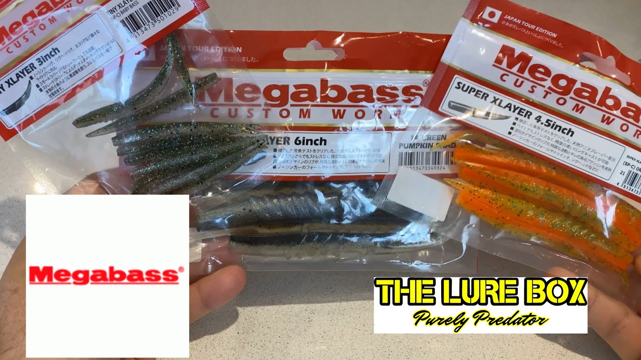 Megabass Xlayer - 3 sizes; features & swimming underwater #lurefishing  #megabasslures #lurefishinguk 