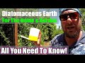 Diatomaceous Earth | Uses In The Home And Garden | Is It Safe? Effective? All You Need To Know!