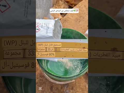 كيف تتخلص من البياض الزغبي