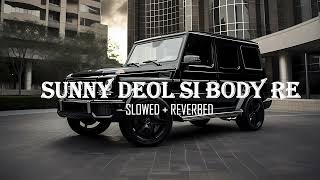 Sunny Deol Si Body Re ( Slowed & Reverb ) Raju Punjabi | Choudhar Jaat Ki Latest Haryanvi Song