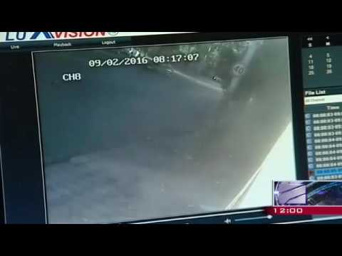 როგორ შევარდა ავტობუსი სასტუმროში...