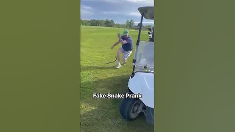 Fake Snake, Real Drama!