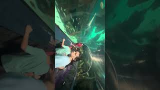 WE MET SHARKS IN TENNESSEE Ripley s Aquarium Gatlinburg Family Vlog