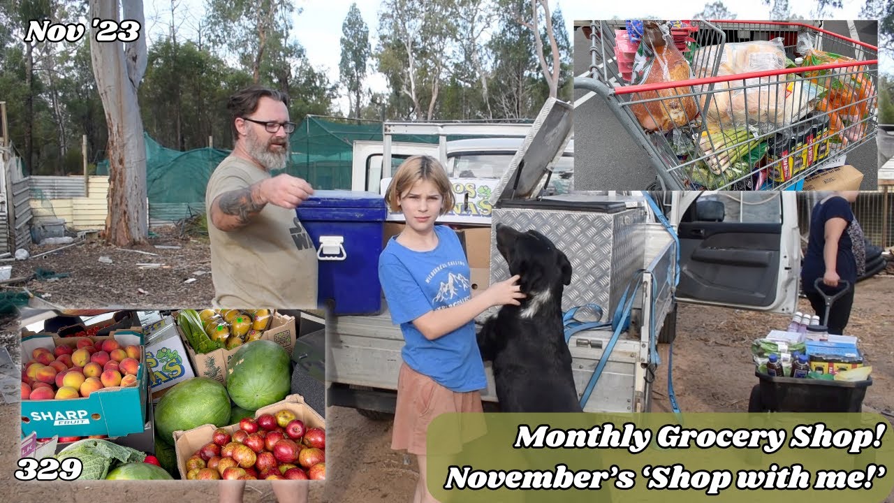 November's Shopping Trip Coles, Kmart, Big W, Costco, Butcher, F&V