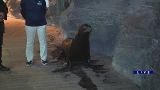 Around Town - Shedd Aquarium