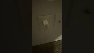 IMG 7468