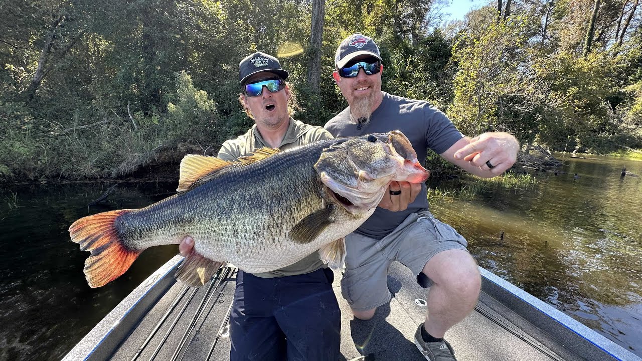 The END of My "Amateur" Fishing Career is Near.... YouTube