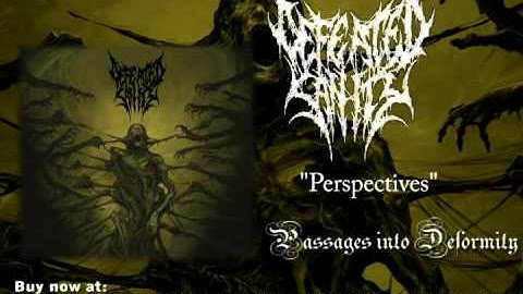 Defeated Sanity - Perspectives