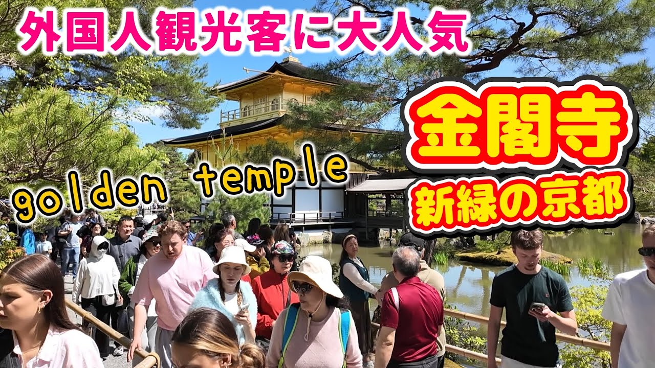 外国人観光客で大賑わいの金閣寺　新緑の京都散歩  kyoto japan walk