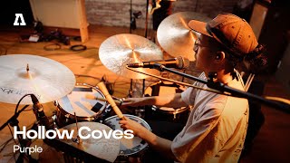 Hollow Coves - Purple | Audiotree Live