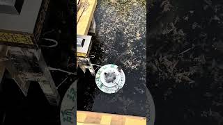 Automated Floating Skimmer Keeps Garden Ponds Clean and Clear #machine #stickwelding #welding