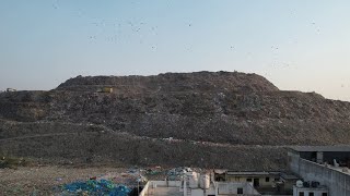 Fisk Johnson | Collective Action Needed on Plastic Waste