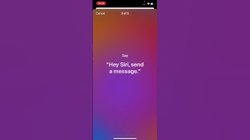 Siri Apple Intelligence Setup