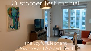 Customer Video Testimonial - Art Installation in Downtown LA