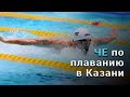 Чемпионат Европы по плаванию на короткой воде в Казани | Зрителей не пускают, но мы с вами сходили