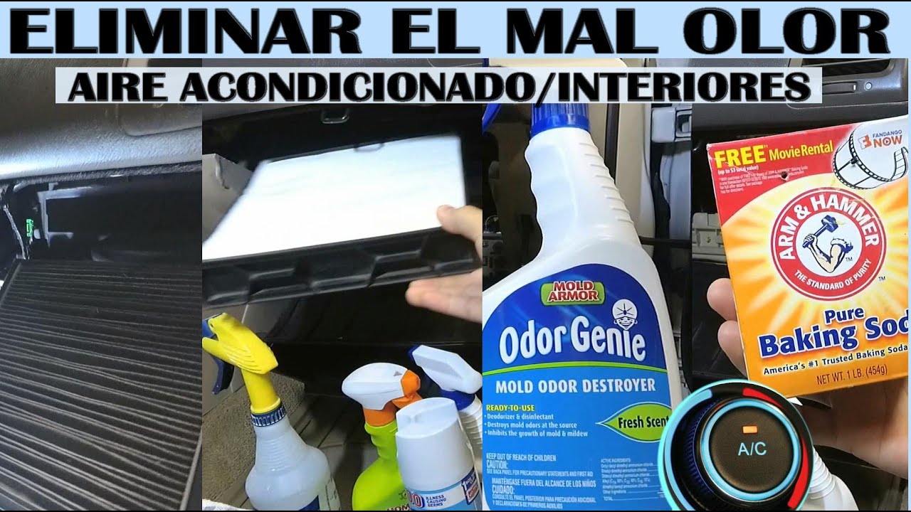 5 Opciones para eliminar el Mal Olor del A/C e interiores del auto
