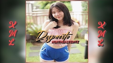 Despacito xml alight motion ||🔰📥in description ||@NorthEastEditz